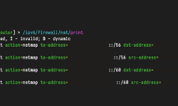 Featured image of post Using NETMAP to obtain persistent IPv6 addresses and control source address