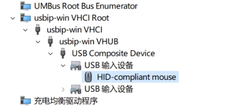 Screenshot of device manager